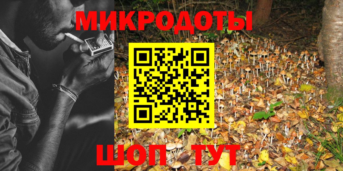 Псилоцибиновые грибы Cubensis Славгород