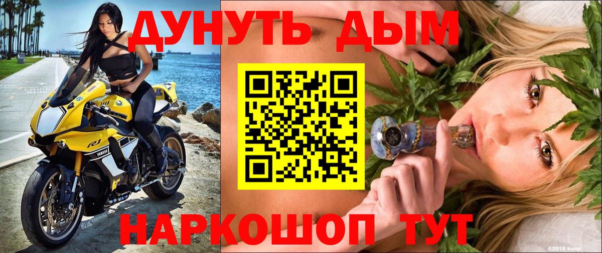 Бошки Шишки конопля Славгород